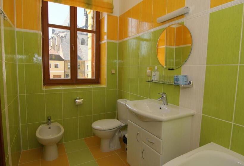 בית מלון כפרי U Radnice