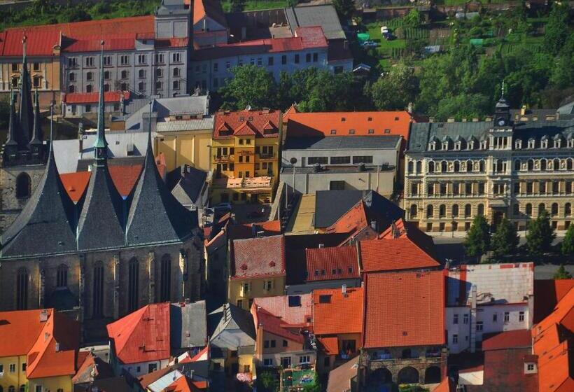 בית מלון כפרי U Radnice