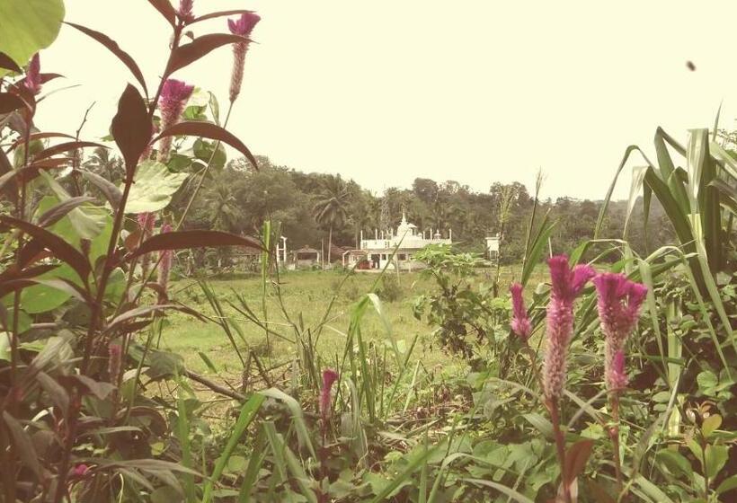 מוטל Deniyaya National Backpackers Hostel