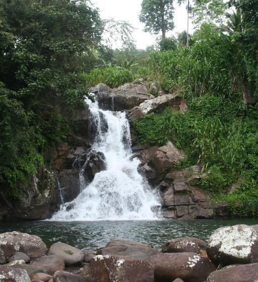 מוטל Deniyaya National Backpackers Hostel