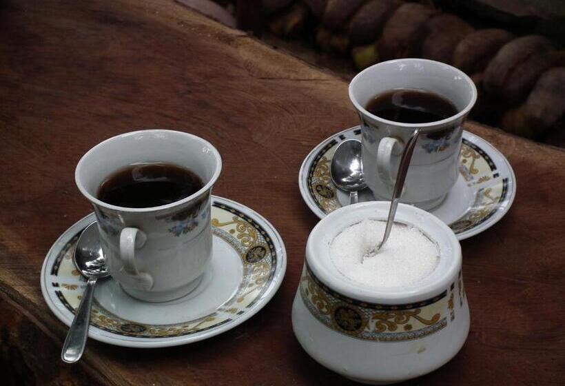 מוטל Deniyaya National Backpackers Hostel