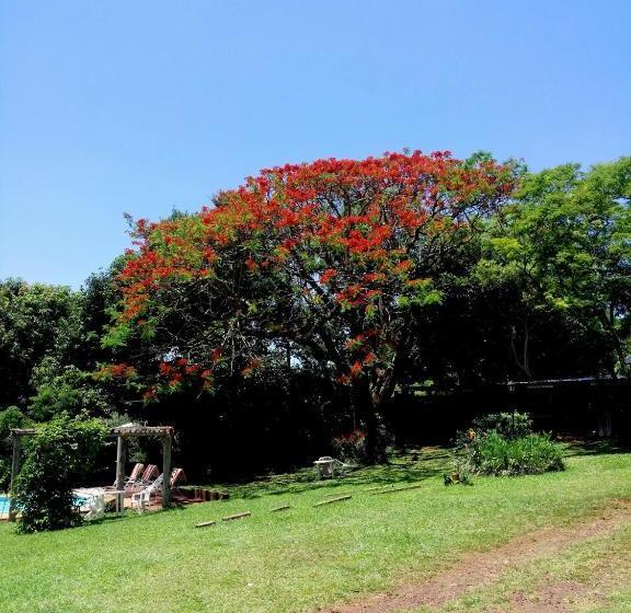 פנסיון Posada Iguazu Colibri