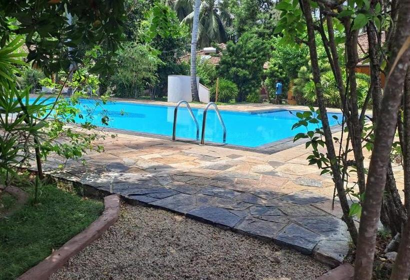 Puetz Travels Beach Resort