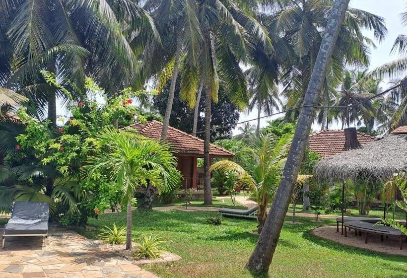 Puetz Travels Beach Resort