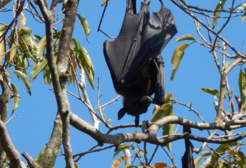 Puetz Travels Beach Resort