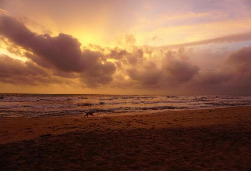 Puetz Travels Beach Resort