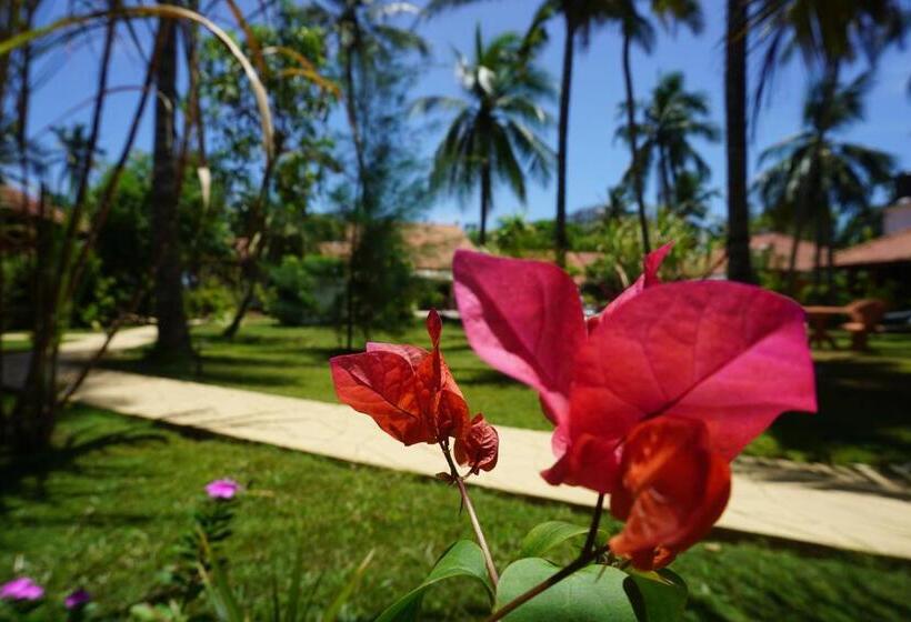 Puetz Travels Beach Resort