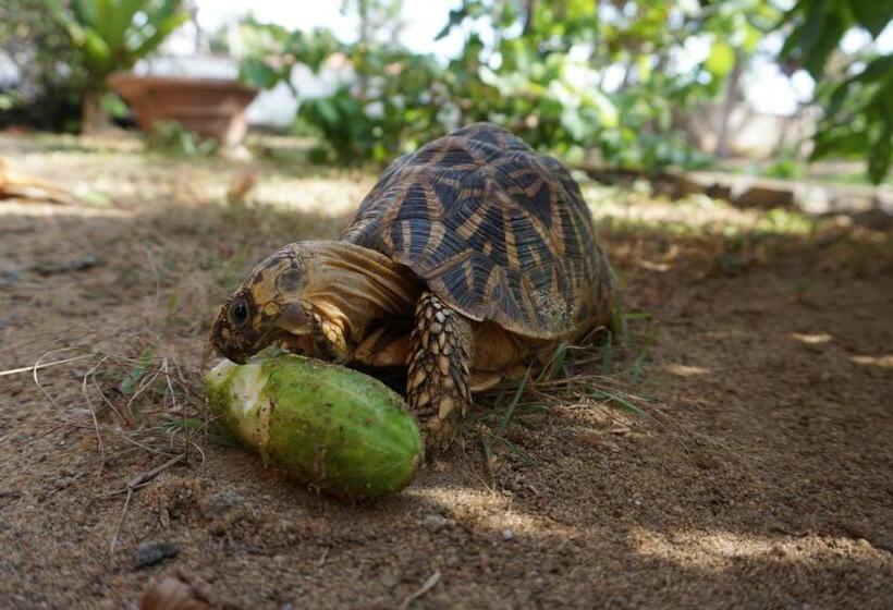 Puetz Travels Beach Resort