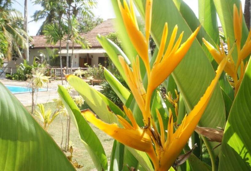 Puetz Travels Beach Resort