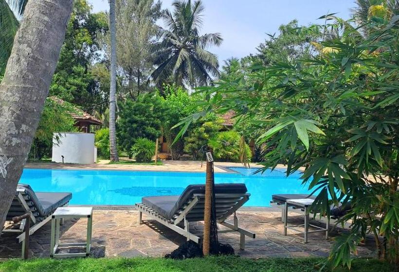 Puetz Travels Beach Resort