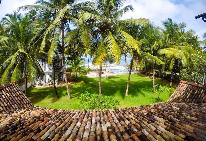 渡假胜地  Amor Villa