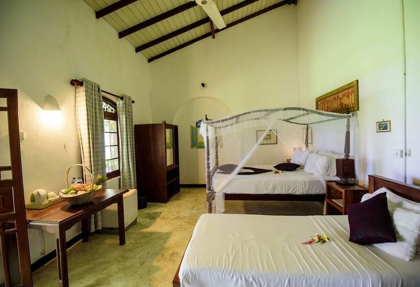 渡假胜地  Amor Villa