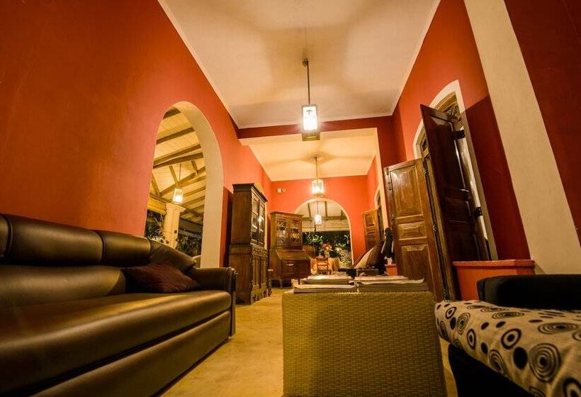 渡假胜地  Amor Villa