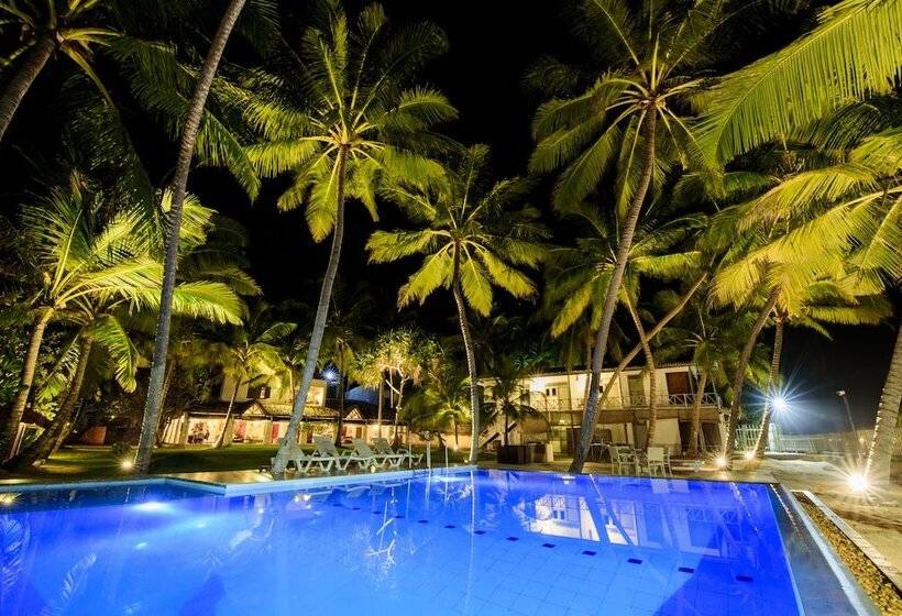 渡假胜地  Amor Villa