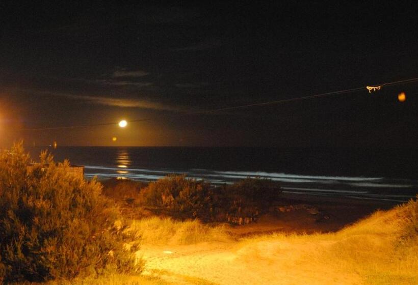 Курорт Complejo Sakura