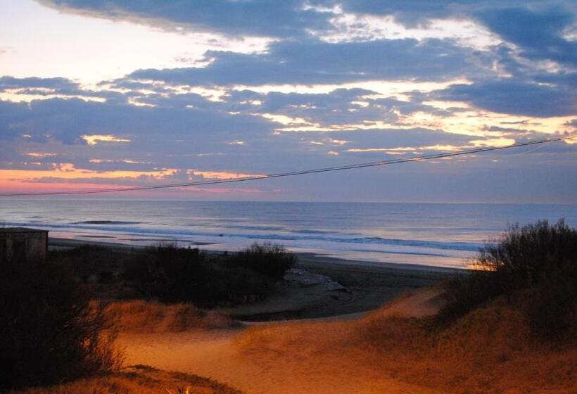 Курорт Complejo Sakura