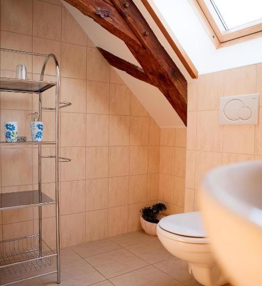 渡假胜地  Wellness Hotel & Minipivovar Kněžínek