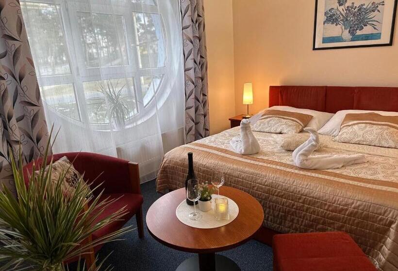 Wellness Hotel Staré Město