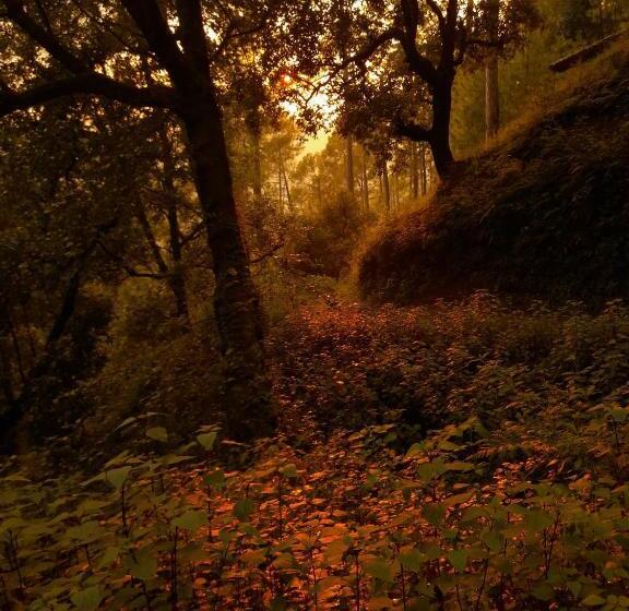 膳宿费 The Himalayan Heaven Home Stay