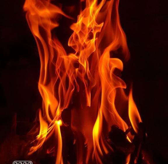 膳宿费 The Himalayan Heaven Home Stay