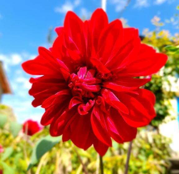 膳宿费 The Himalayan Heaven Home Stay