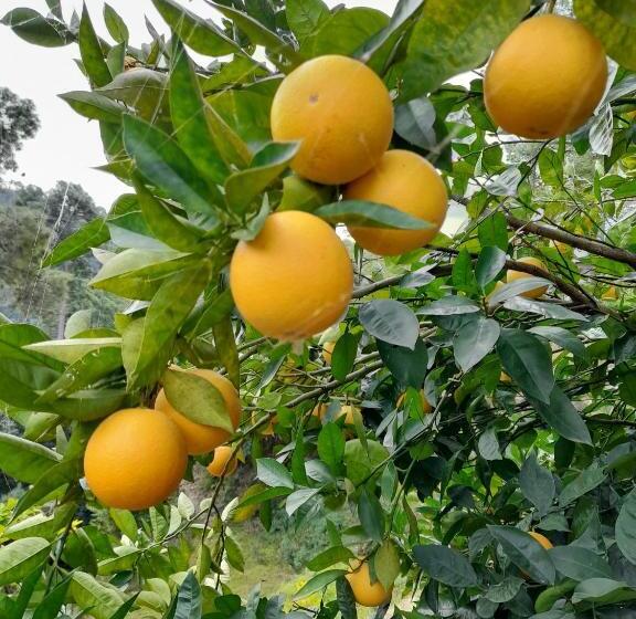 膳宿费 The Himalayan Heaven Home Stay