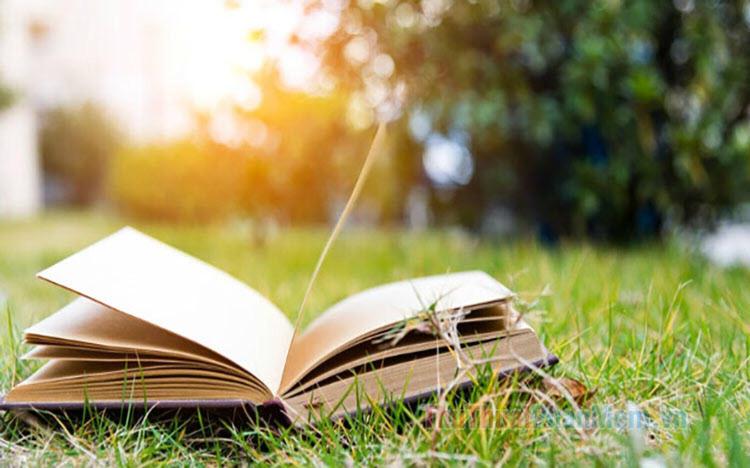 هتل کپسول Hoàng Long