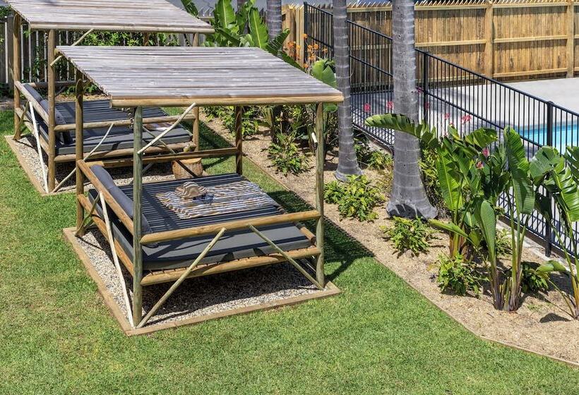 מוטל South Pacific Palms Motor Inn