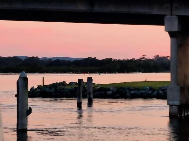 מוטל South Pacific Palms Motor Inn