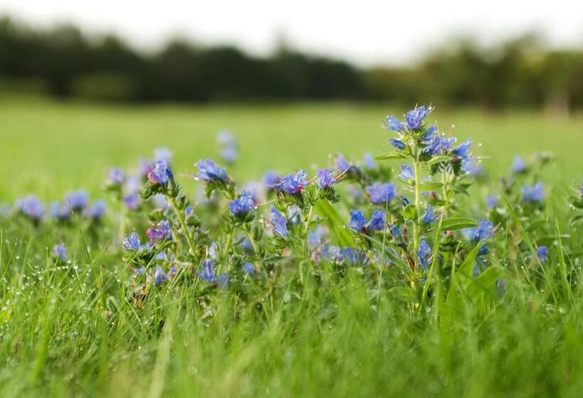 Abbekås Golfrestaurang & Hotell