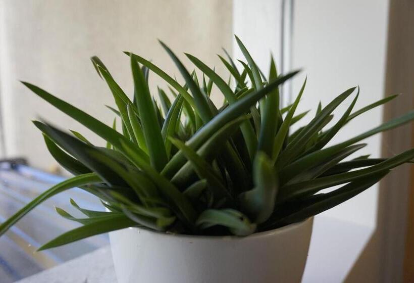 旅馆 Kristinebergs Bed & Breakfast