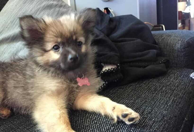 ユースホステル Prinsgården B&b Rum Stugor