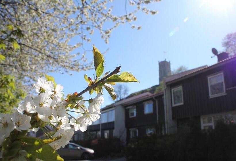 هاستل Tønsberg Vandrerhjem