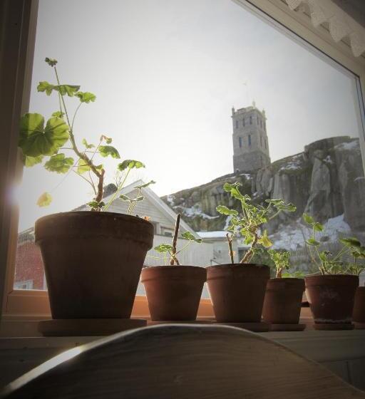 هاستل Tønsberg Vandrerhjem