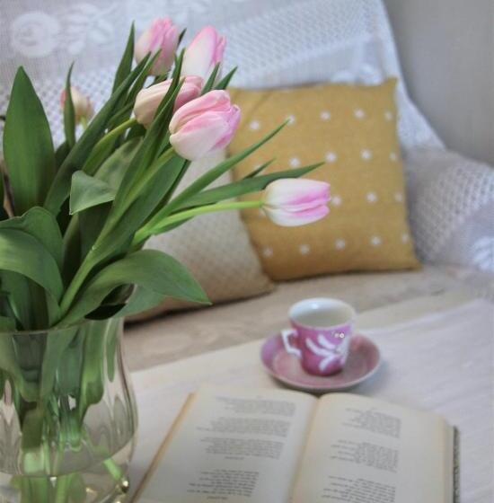 هاستل Tønsberg Vandrerhjem