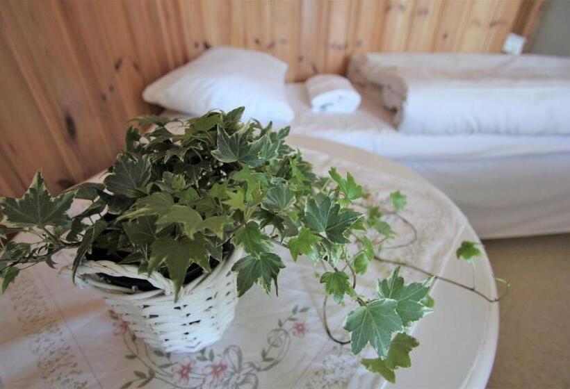 هاستل Tønsberg Vandrerhjem