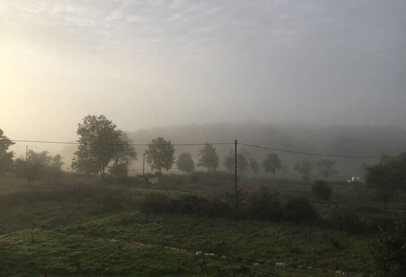 Bed and Breakfast Amiralsgården Werstorp