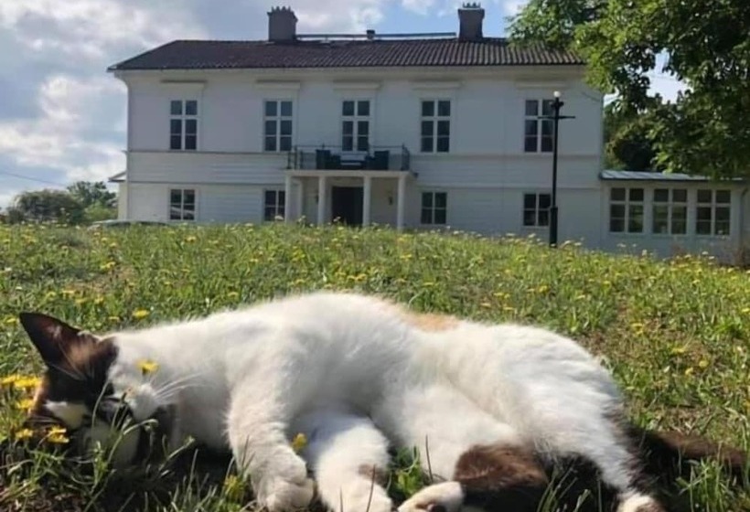 Bed and Breakfast Amiralsgården Werstorp