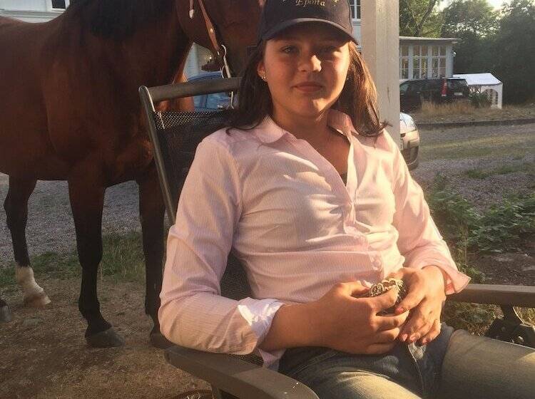 Bed and Breakfast Amiralsgården Werstorp