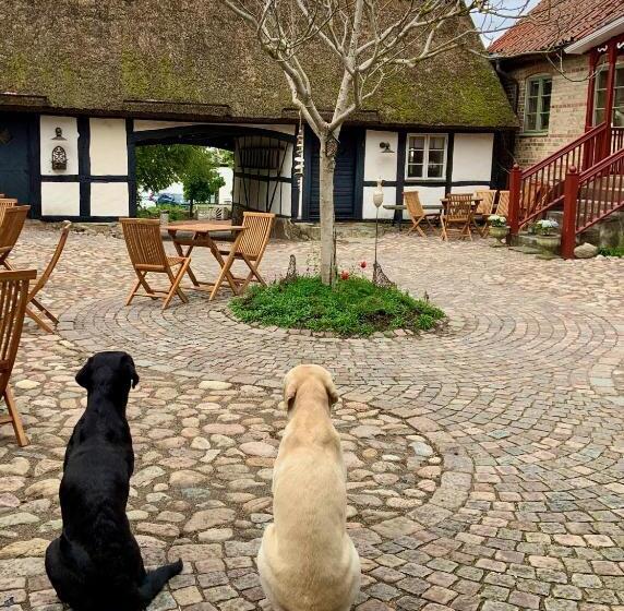 민박 Killegården På Kivik