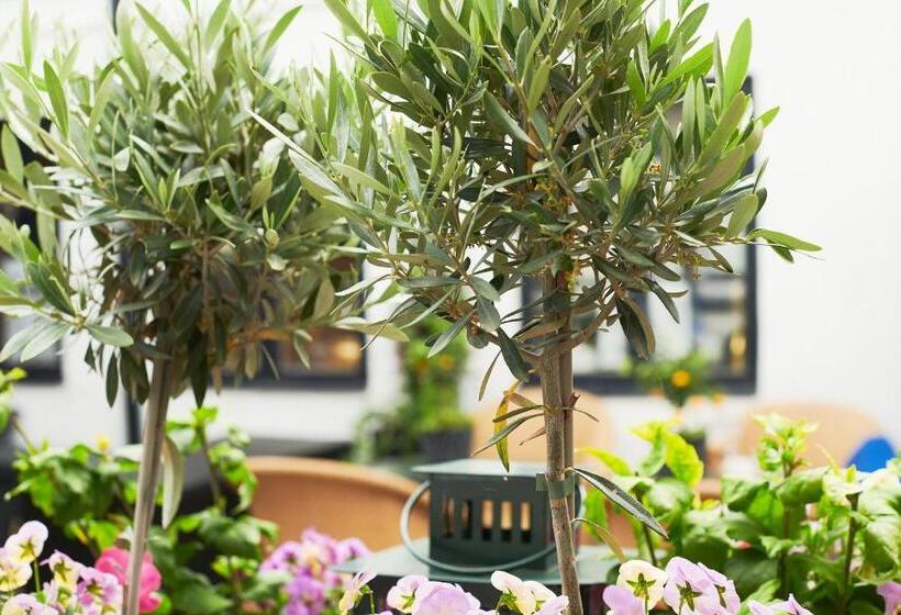 ベッドアンドブレックファースト L Bäckagården