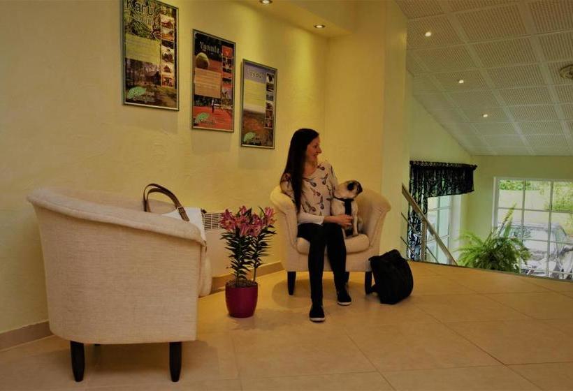 צימר L Sõnajala