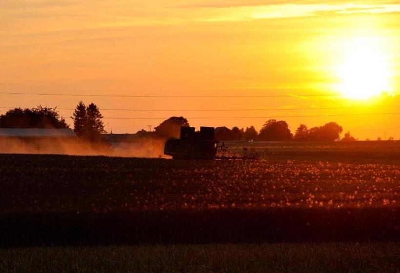 Bed and Breakfast Nils Holgerssongården