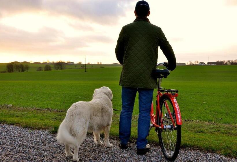 Bed and Breakfast Nils Holgerssongården