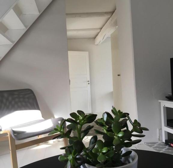 مبيت وإفطار Red Bird Farm