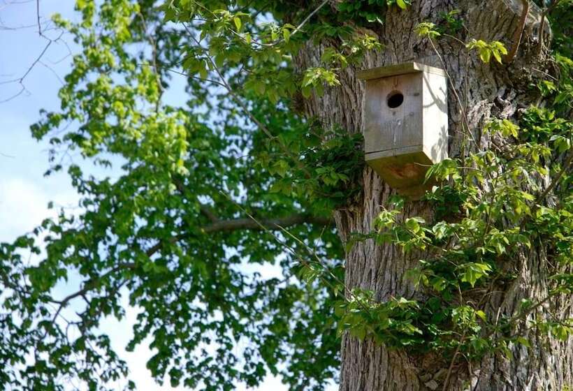 Bed and Breakfast österlens Karlsgård