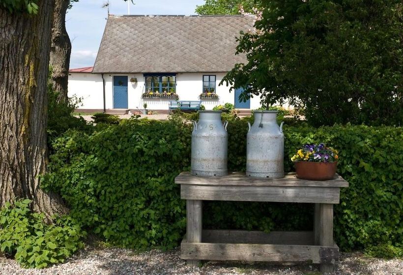 Bed and Breakfast österlens Karlsgård