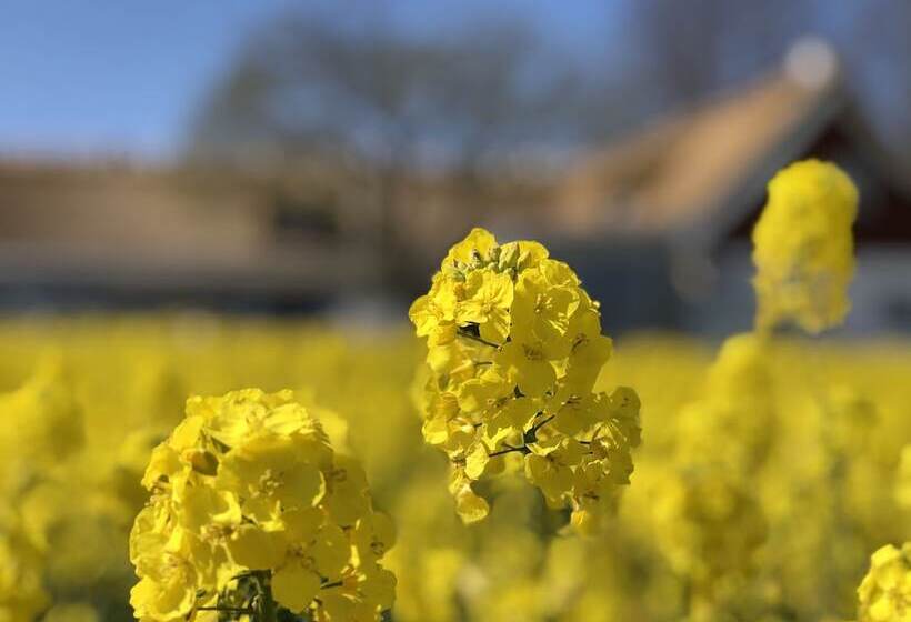 민박 Sydkustens At Pillehill