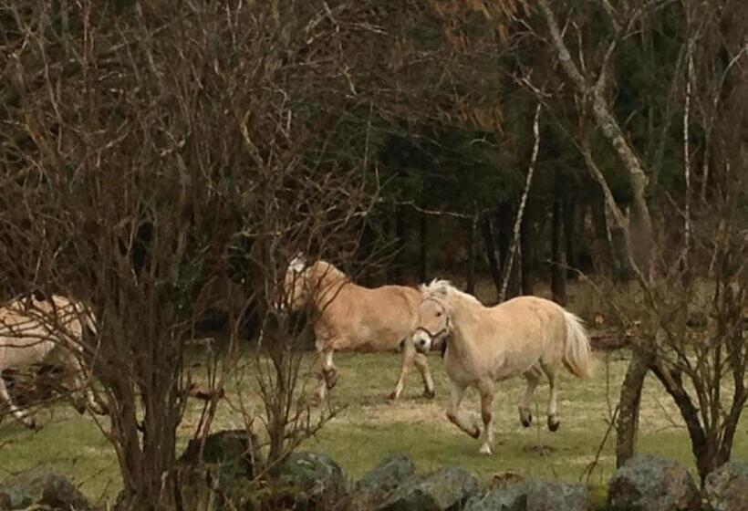 住宿加早餐  Vita Stenen Rum Och Restaurang