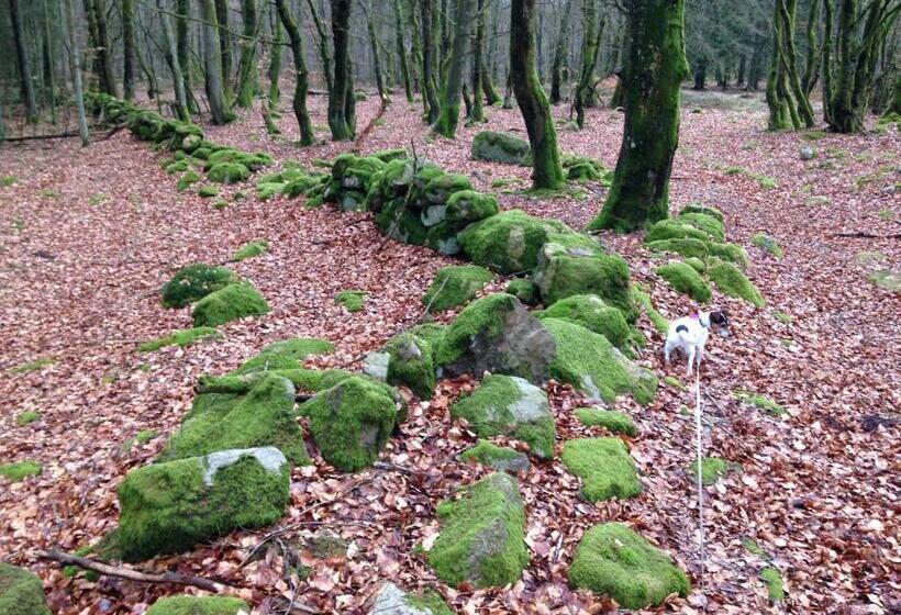 住宿加早餐  Vita Stenen Rum Och Restaurang